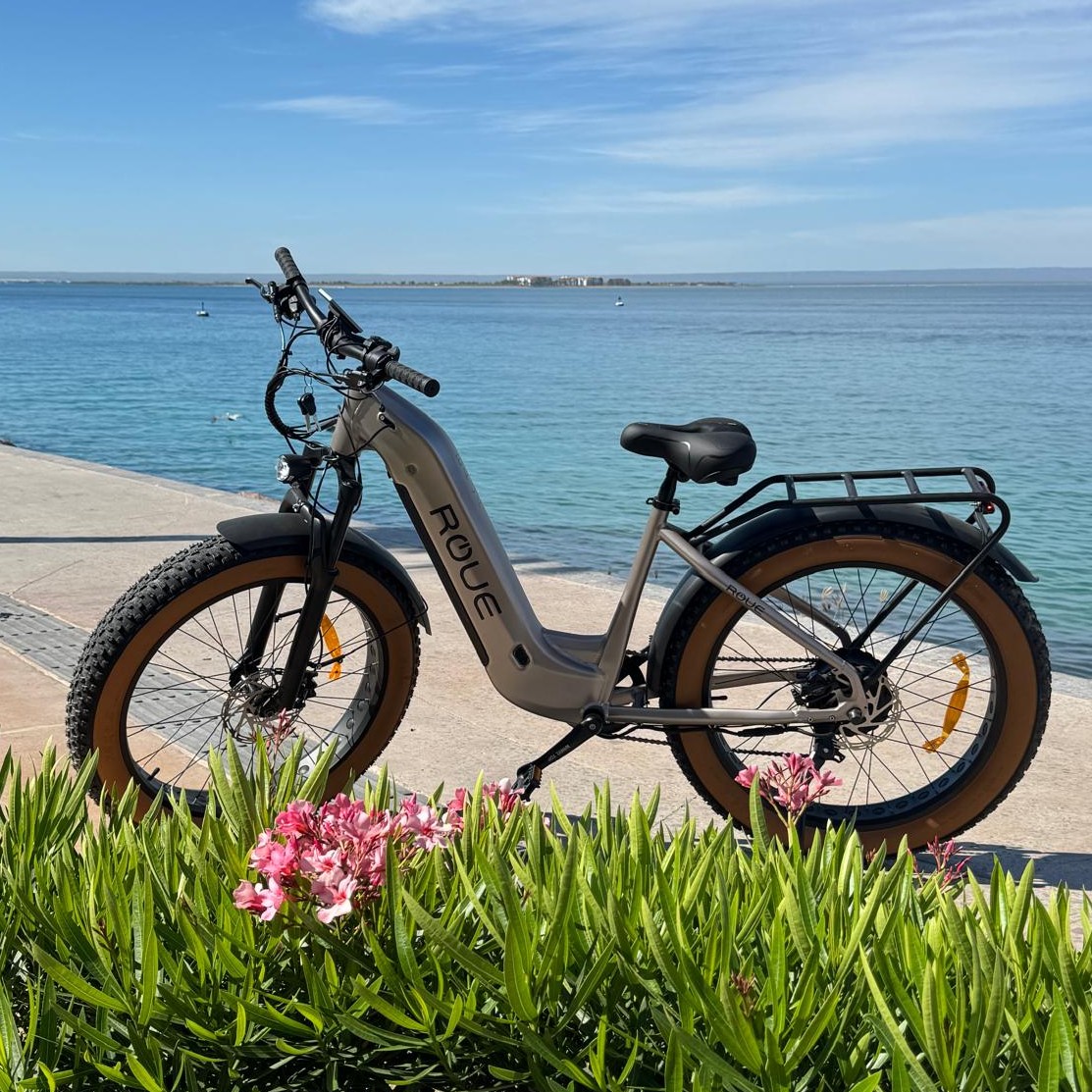 Roue Baja eBike